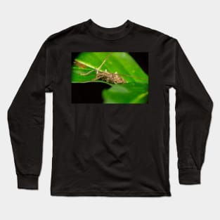 Unique and organic photo of a Longhorn Beetle Long Sleeve T-Shirt